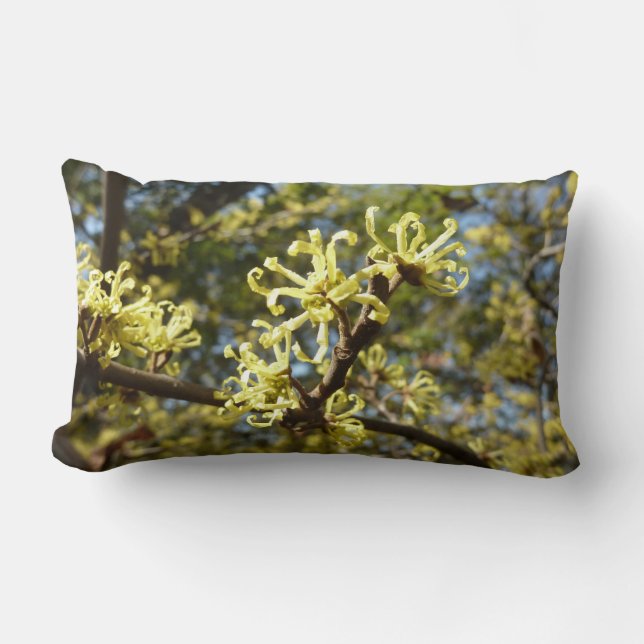 Witch Hazel Flowers Lumbar Cushion (Front)