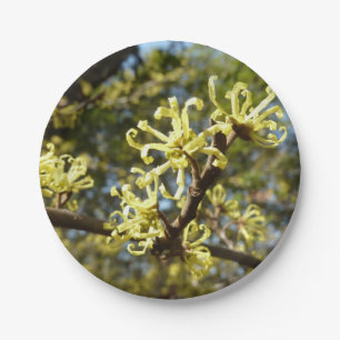 Witch Hazel Flowers Paper Plate