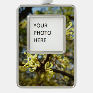 Witch Hazel Flowers Silver Plated Framed Ornament