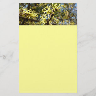 Witch Hazel Flowers Stationery