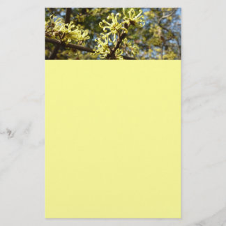 Witch Hazel Flowers Stationery