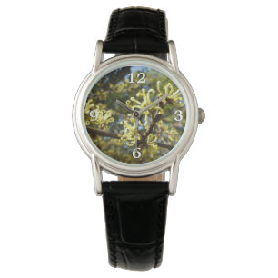 Witch Hazel Flowers Watch