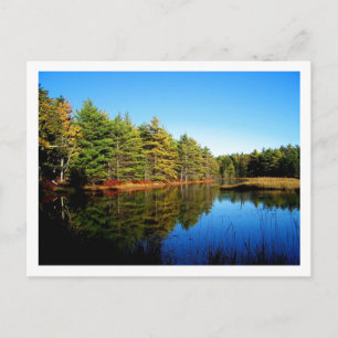 Witch Hole Pond Postcard