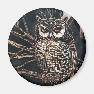 Witch in Owl Form Magnet
