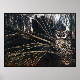 Witch in Owl Form Poster