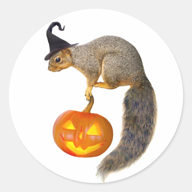 Witch Squirrel Jack-o-Lantern Sticker (Front)
