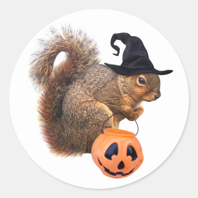 Witch Squirrel Trick-or-Treat Sticker (Front)