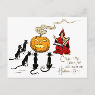 Witch Teaching Black Cat Jack O' Lantern Postcard