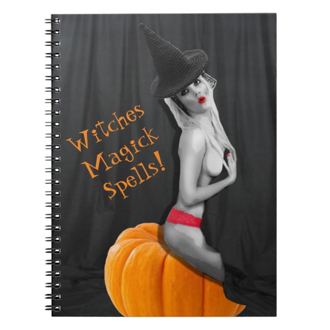 Witches Magick Spells Spell Book Notebook Journal (Front)