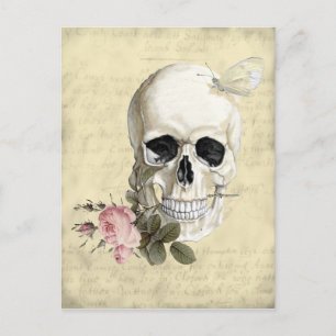 With a rose between my teeth postcard