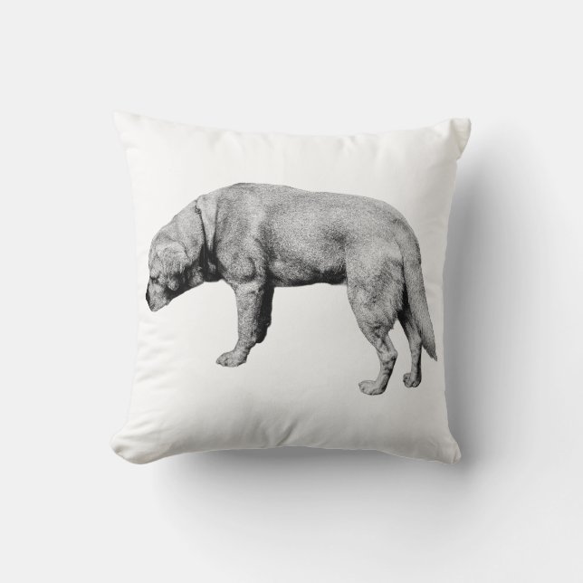 With a Working Heart Cushion (Front)