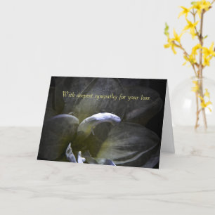 With deepest sympathy - Amaryllis Card