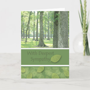 With Deepest Sympathy, Illinois Woods Photograph Card