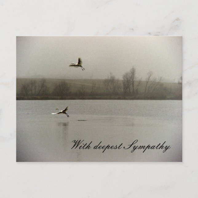 With deepest Sympathy Postcard (Front)