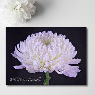 With Deepest Sympathy White Chrysanthemum Card