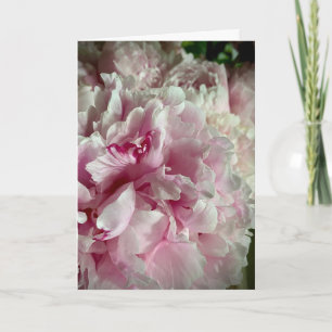 With Deepest Sympathy with White and Pink Peonies Card
