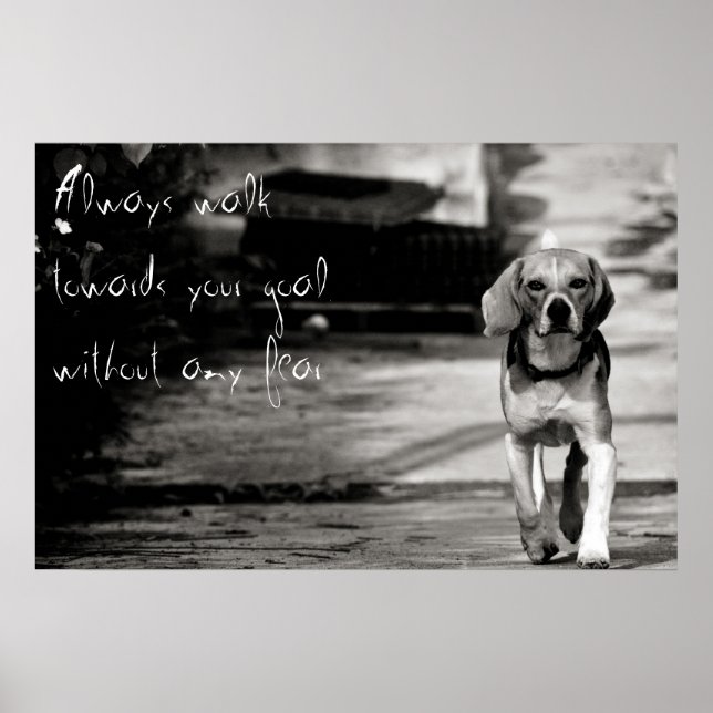 With no fear - Poster (Front)