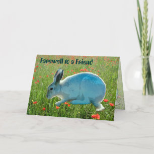With Sympathy (loss of a rabbit) Card