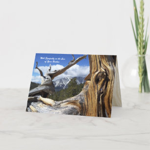 With Sympathy Loss of Brother Mountain Thru Tree Card