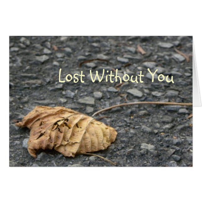 Withered Fallen Leaf/Lost Without You (Front Horizontal)