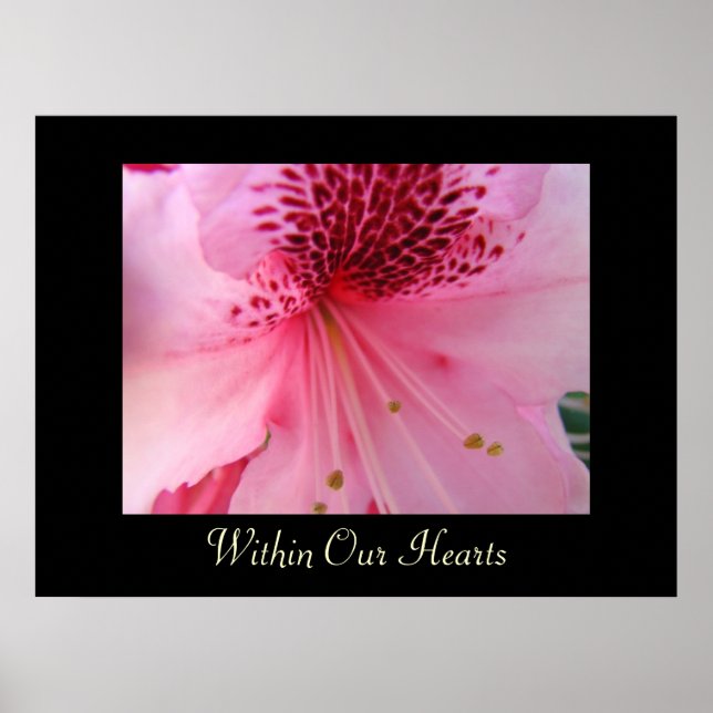 Within Our Hearts art prints Pink Rhododendron (Front)