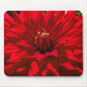 Within The Dahlia Garden 2 Mouse Pad