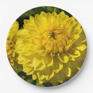 Within The Dahlia Garden 3 Paper Plate
