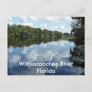 Withlacoochee River Postcard