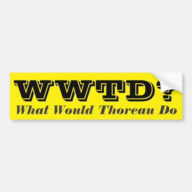 Witty Philosophical Enlightening Humourous Message Bumper Sticker (Front)
