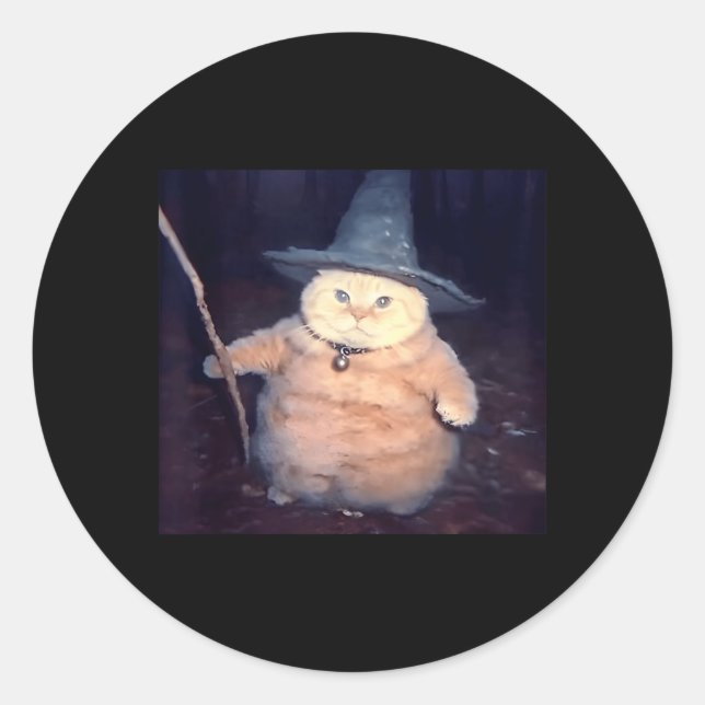 Wizard Cat Funny Halloween Cat Meme Classic Round Sticker (Front)