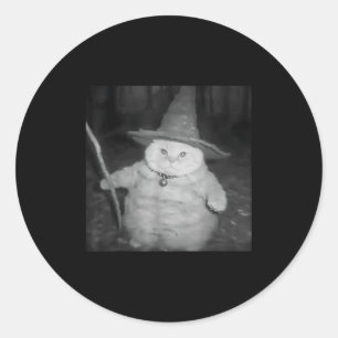 Wizard Cat Weird Funny Halloween Cat Meme Classic Round Sticker