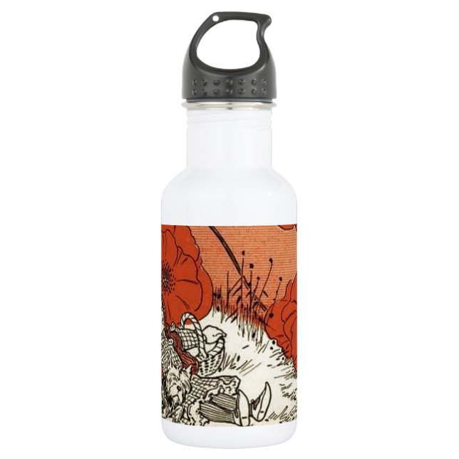 Wizard of Oz 532 Ml Water Bottle (Front)