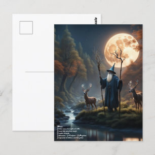 Wizard Postcard