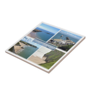 WLS004 GOWER Peninsula Mumbles, Wales, Tile
