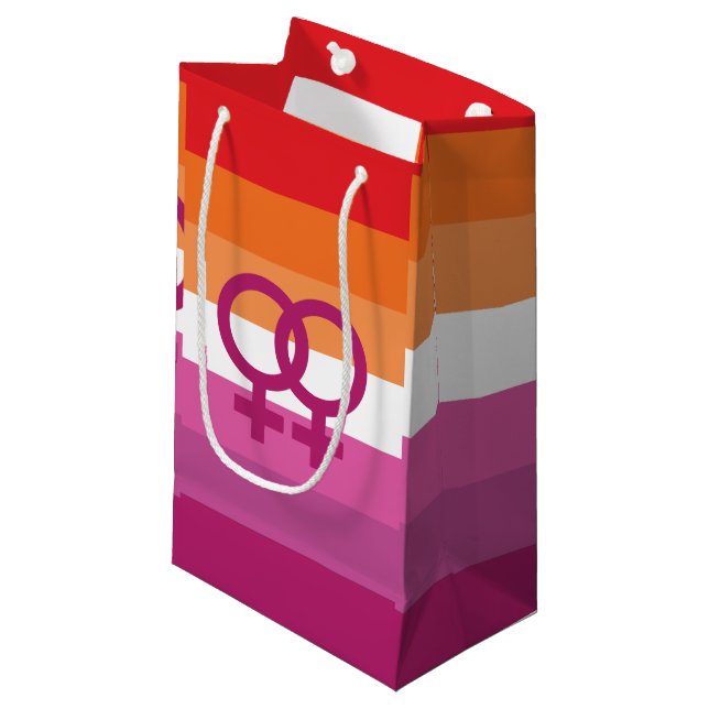 WLW Lesbian Pride Flag Small Gift Bag (Front Angled)