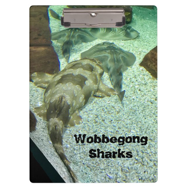 Wobbegong Sharks Clipboard (Front)