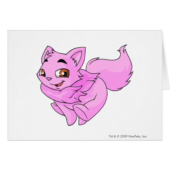 Wocky Pink (Front Horizontal)