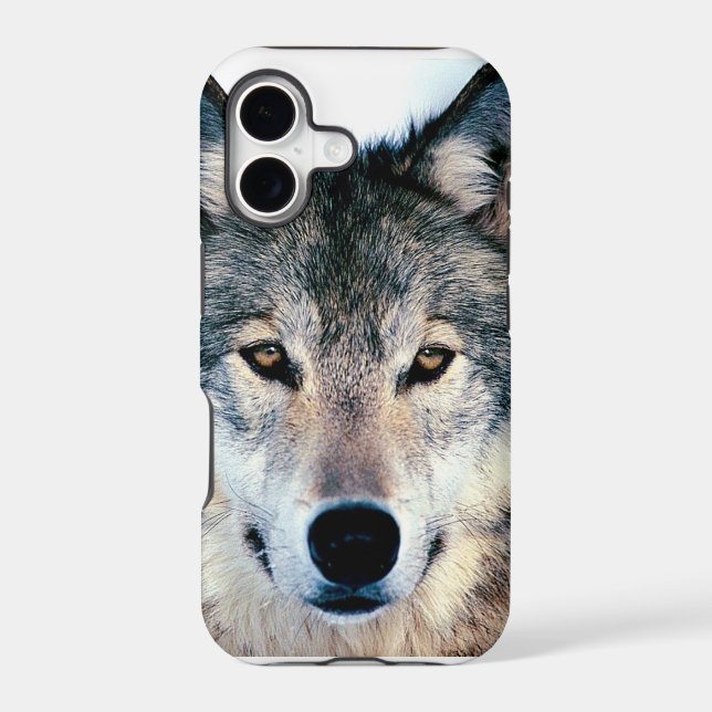 Wolf (Back)