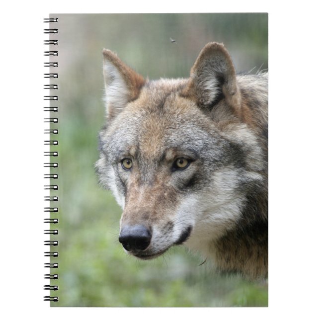 Wolf 001 spiral notebook (Front)