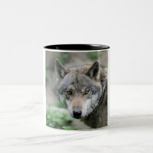 Wolf_011 Two-Tone Coffee Mug