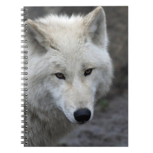 Wolf 015 spiral notebook