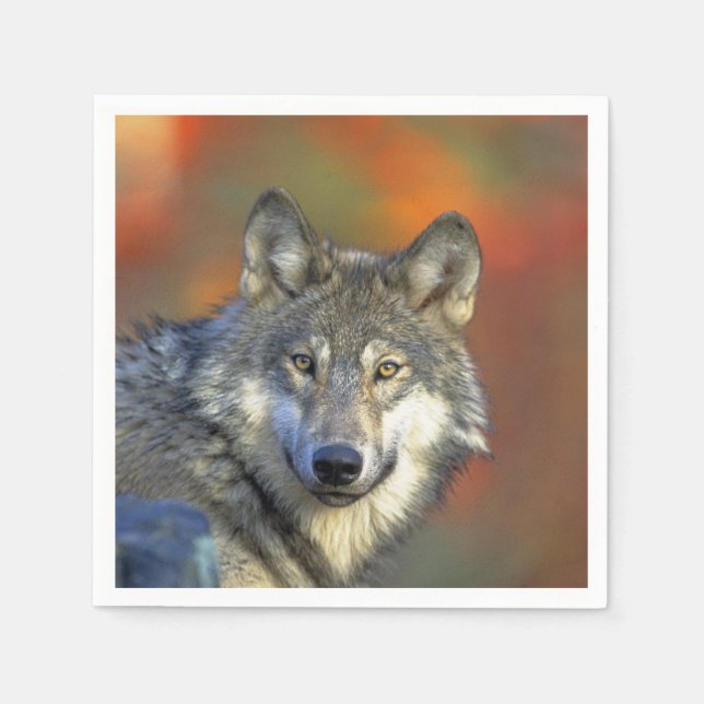Wolf_2015_0301 Napkin (Front)
