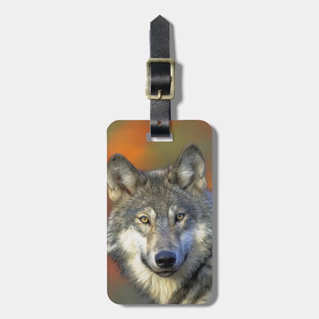Wolf_2015_0302 Luggage Tag (Front Vertical)