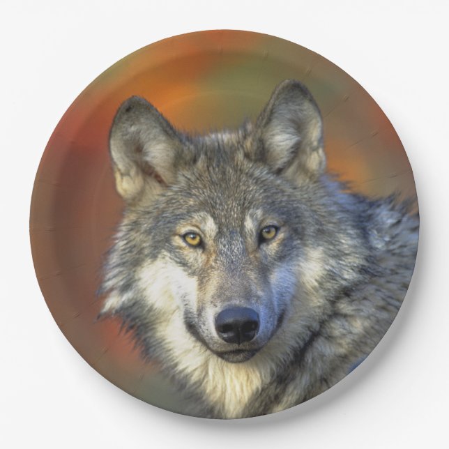 Wolf_2015_0302 Paper Plate (Front)