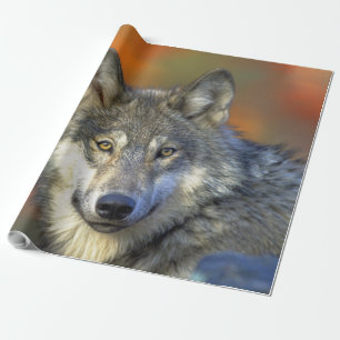 Wolf_2015_0302 Wrapping Paper
