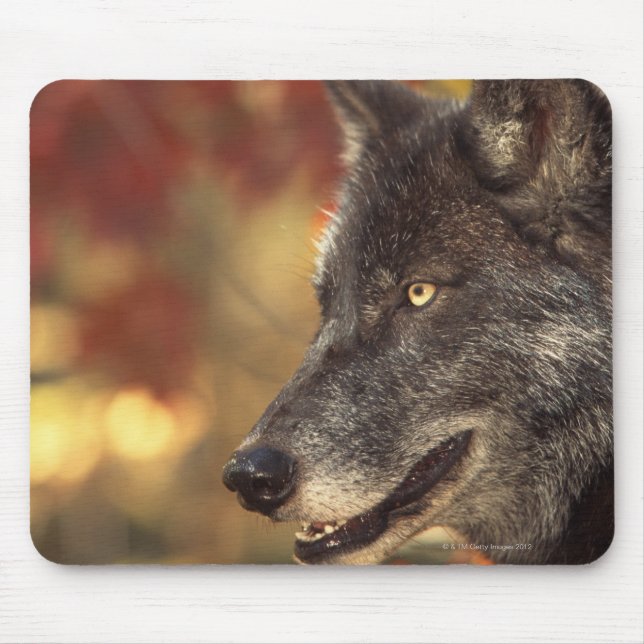 Wolf 2 mouse pad (Front)