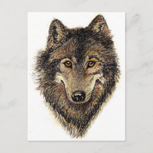 Wolf and Pack Quote - Animal Collection Postcard
