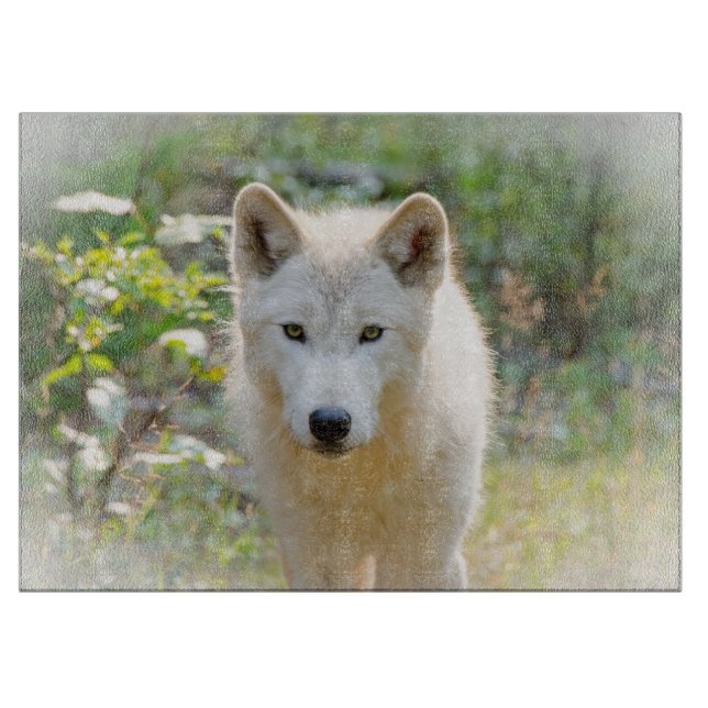 Wolf Animal Art, Canadian Wildlife Cutting Board (Front)