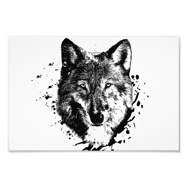 Wolf Animal Forest Wild Nature World Free Earth Photo Print (Front)