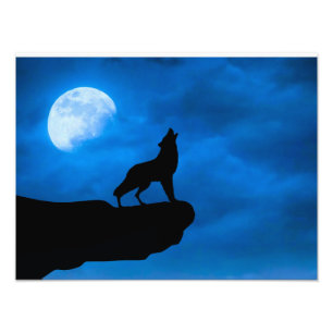 Wolf at Night Photo Print